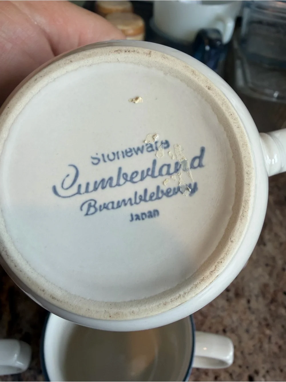 Hearthside Cumberland Brambleberry Stoneware Floral Cup Set of 6 cottage heart